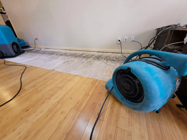 Professional Structural Drying technician working in Massachusetts, MA